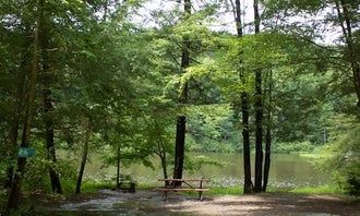 Camping near Oh! Pear Orchards: Lakeside Campground, Windsor, New York