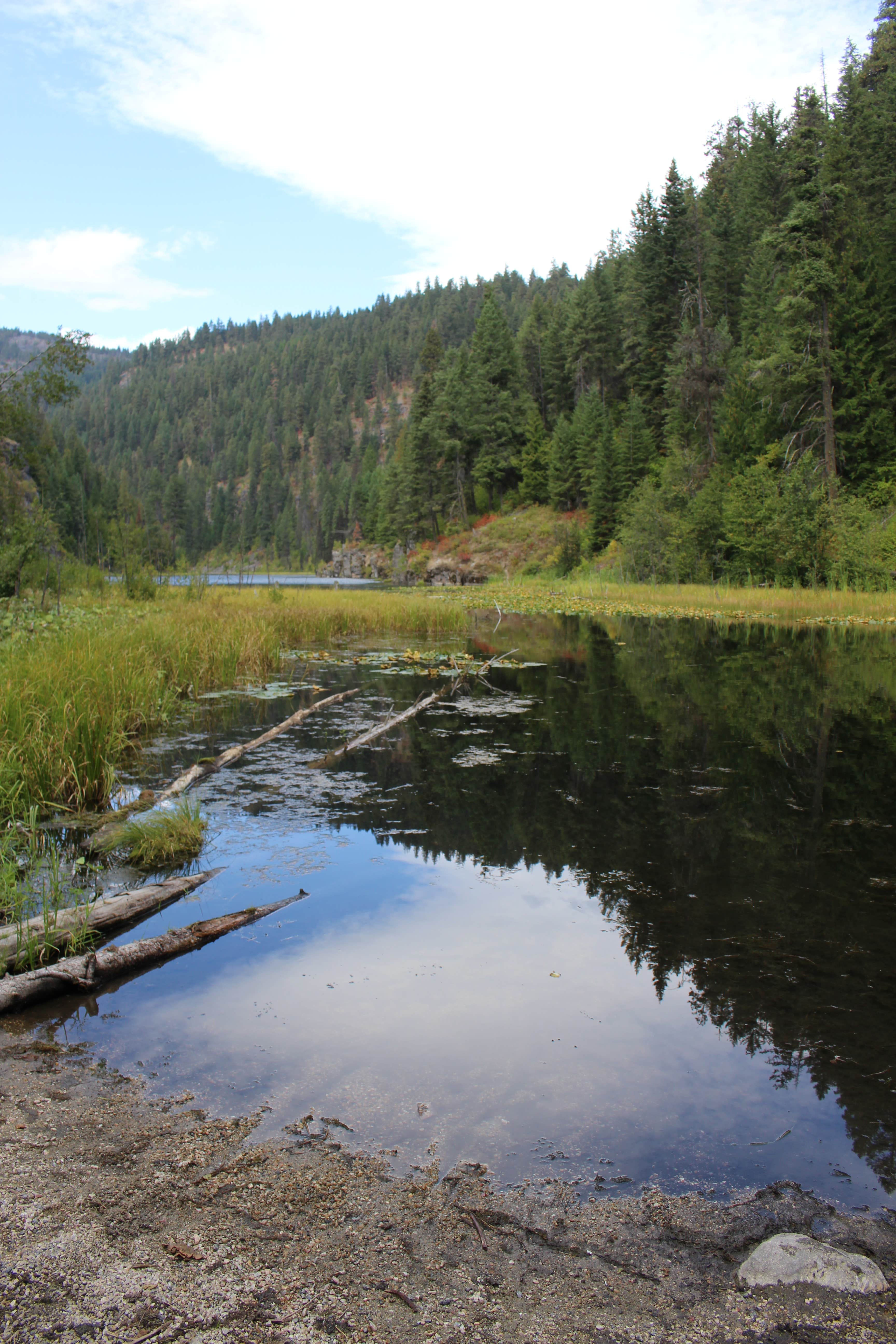 Camper submitted image from Little Twin Lakes Campground - 2