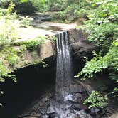 Review photo of Stone Door Campground — Savage Gulf State Park by Sharon H., September 20, 2018