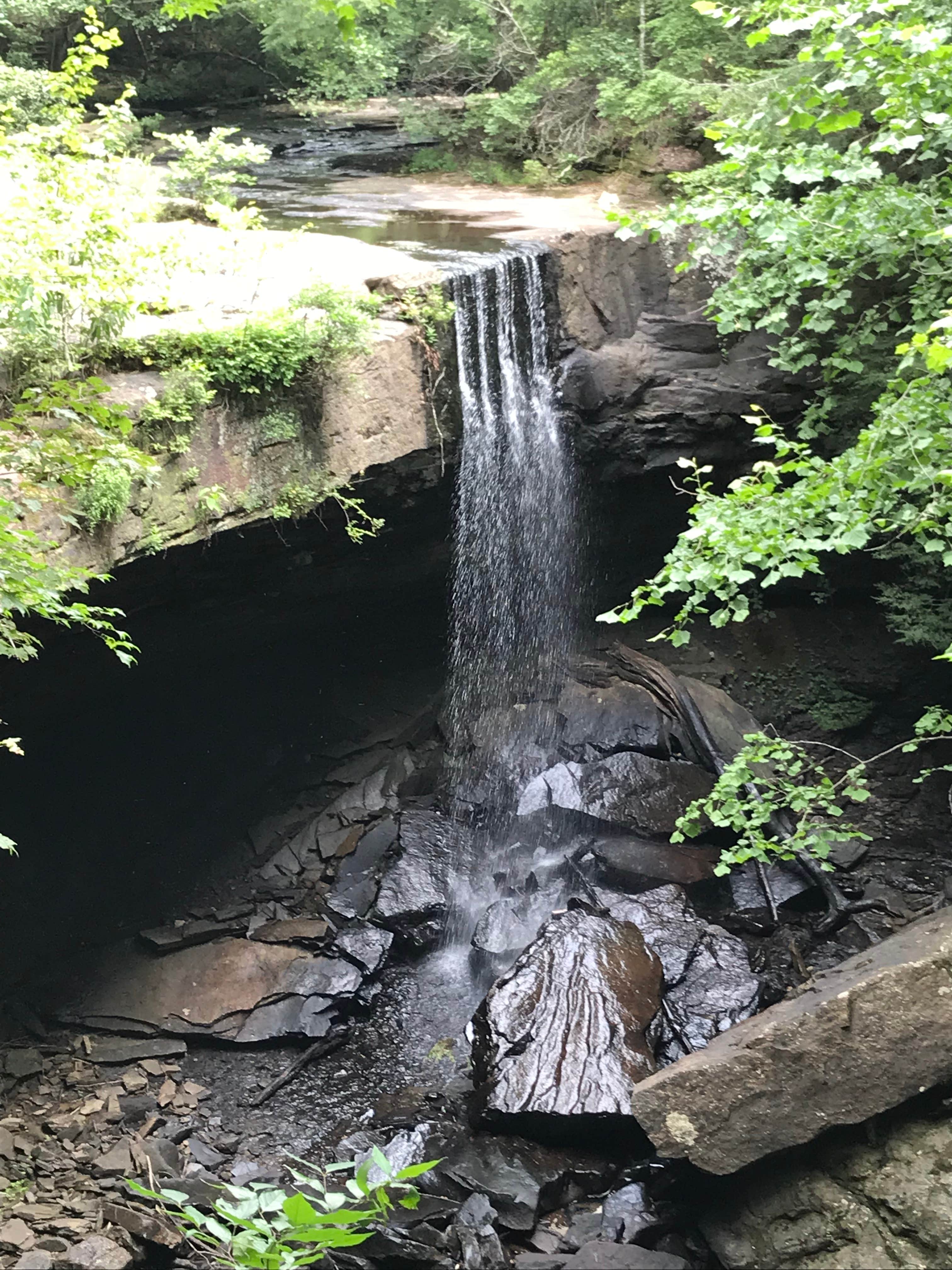 Camper submitted image from Stone Door Campground — Savage Gulf State Park - 5