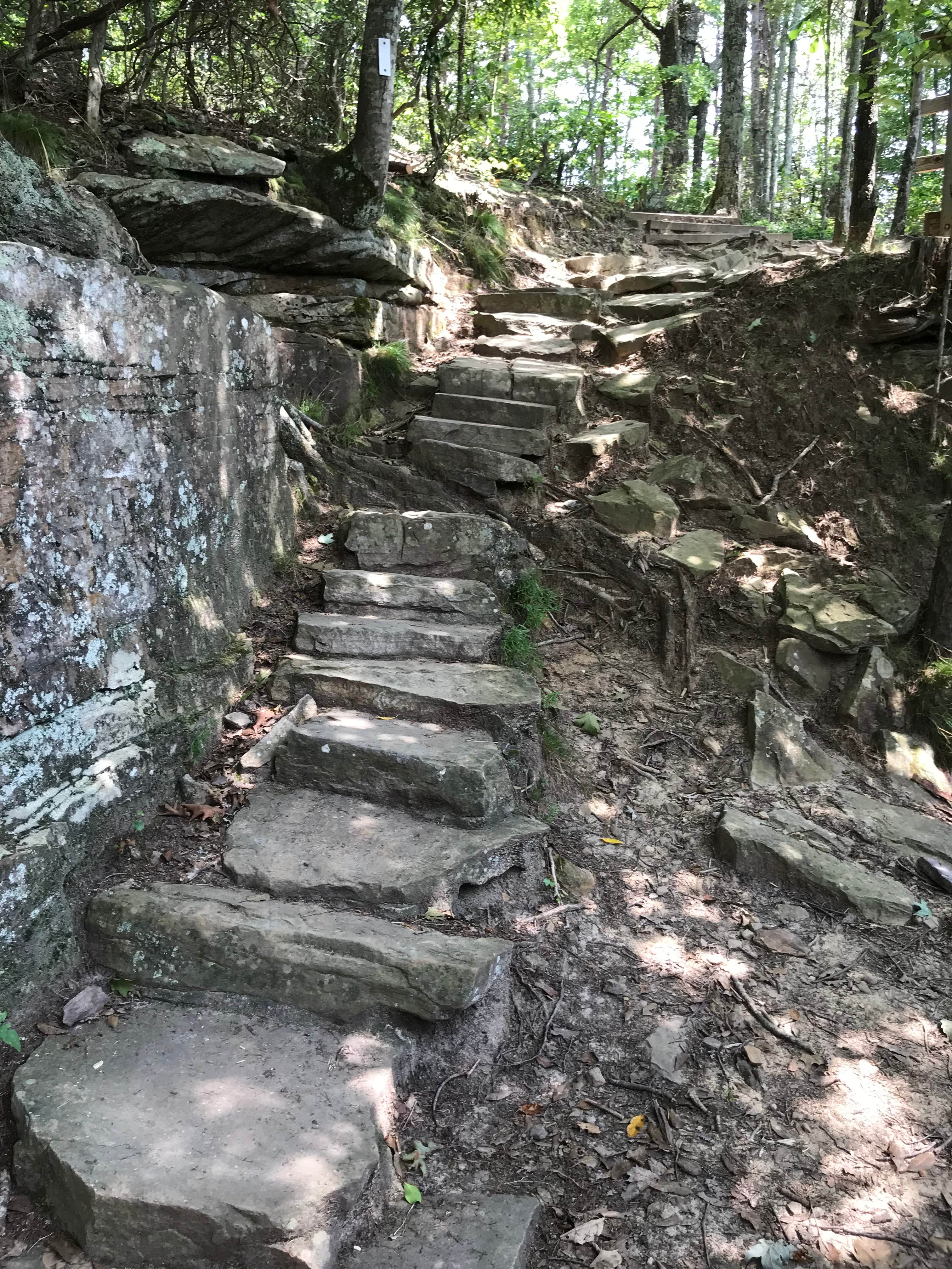 Camper submitted image from Stone Door Campground — Savage Gulf State Park - 2