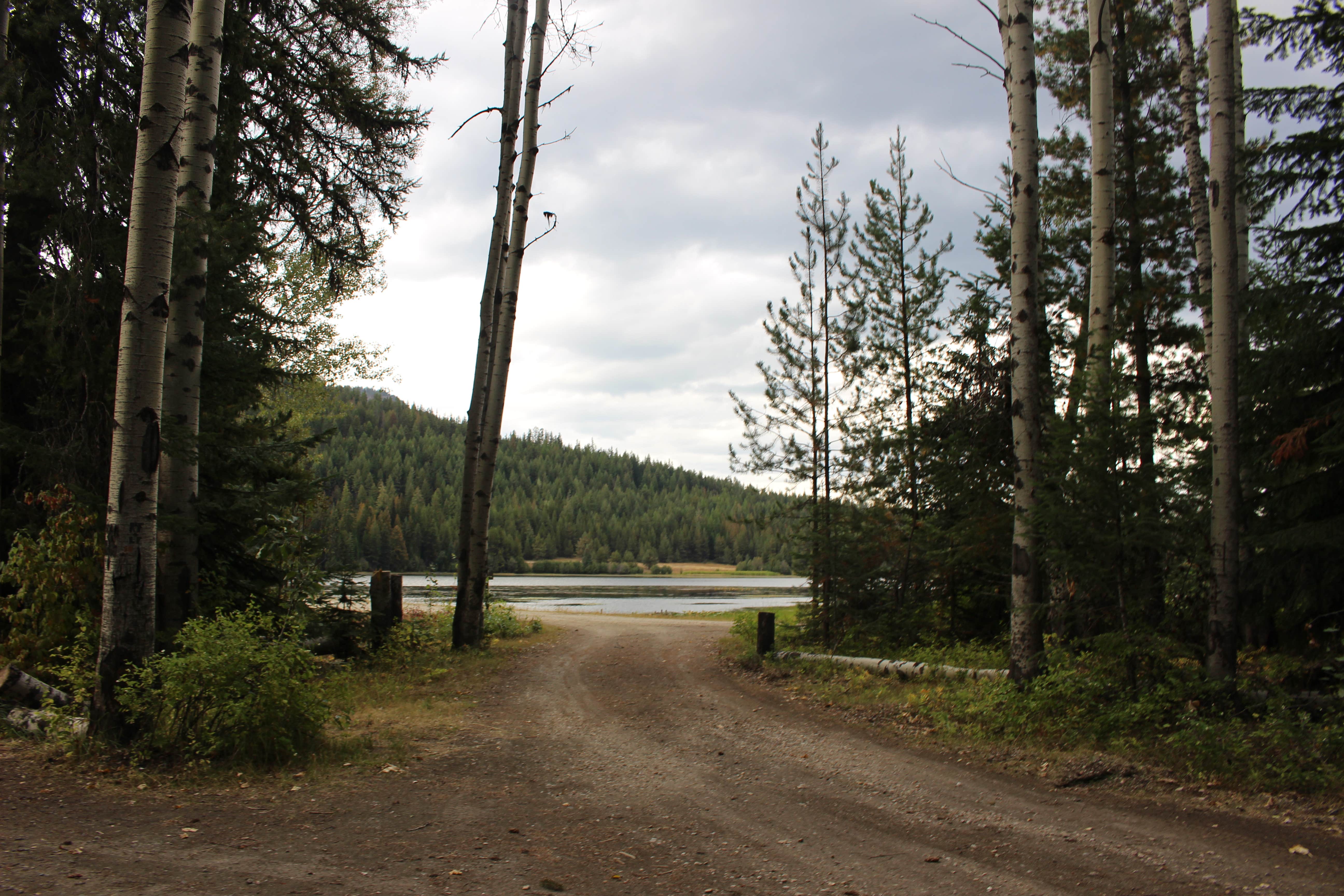 Camper submitted image from Big Meadow Lake Campground - 3