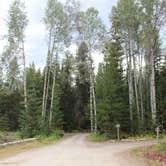 Review photo of Big Meadow Lake Campground by Jess G., September 20, 2018