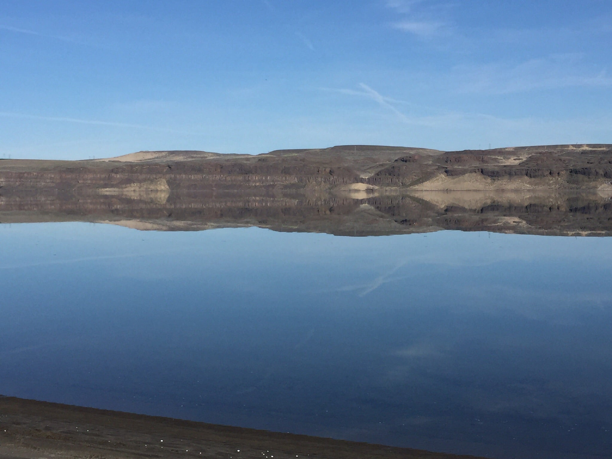 Camper submitted image from Ginkgo Petrified Forest State Park Campground - 2
