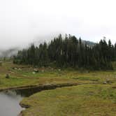 Review photo of Mowich Lake Campground — Mount Rainier National Park by Jess G., September 21, 2018