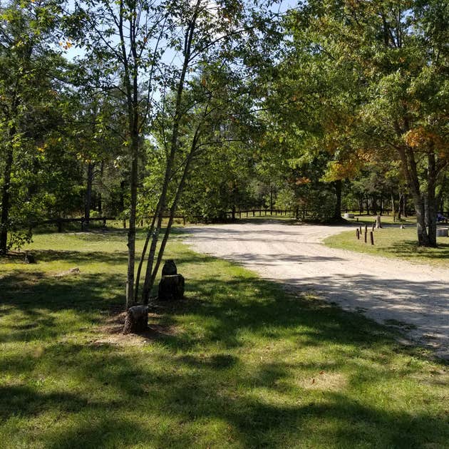 Muskrat Lake State Forest Campground | Lewiston, MI