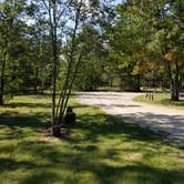 Review photo of Muskrat Lake State Forest Campground by Mike B., September 21, 2018