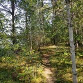 Review photo of Muskrat Lake State Forest Campground by Mike B., September 21, 2018