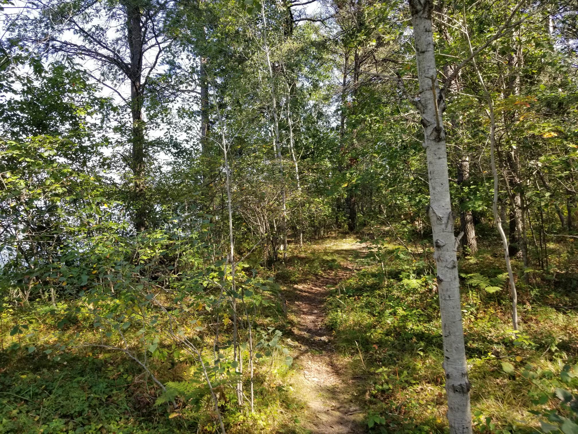 Camper submitted image from Muskrat Lake State Forest Campground - 2