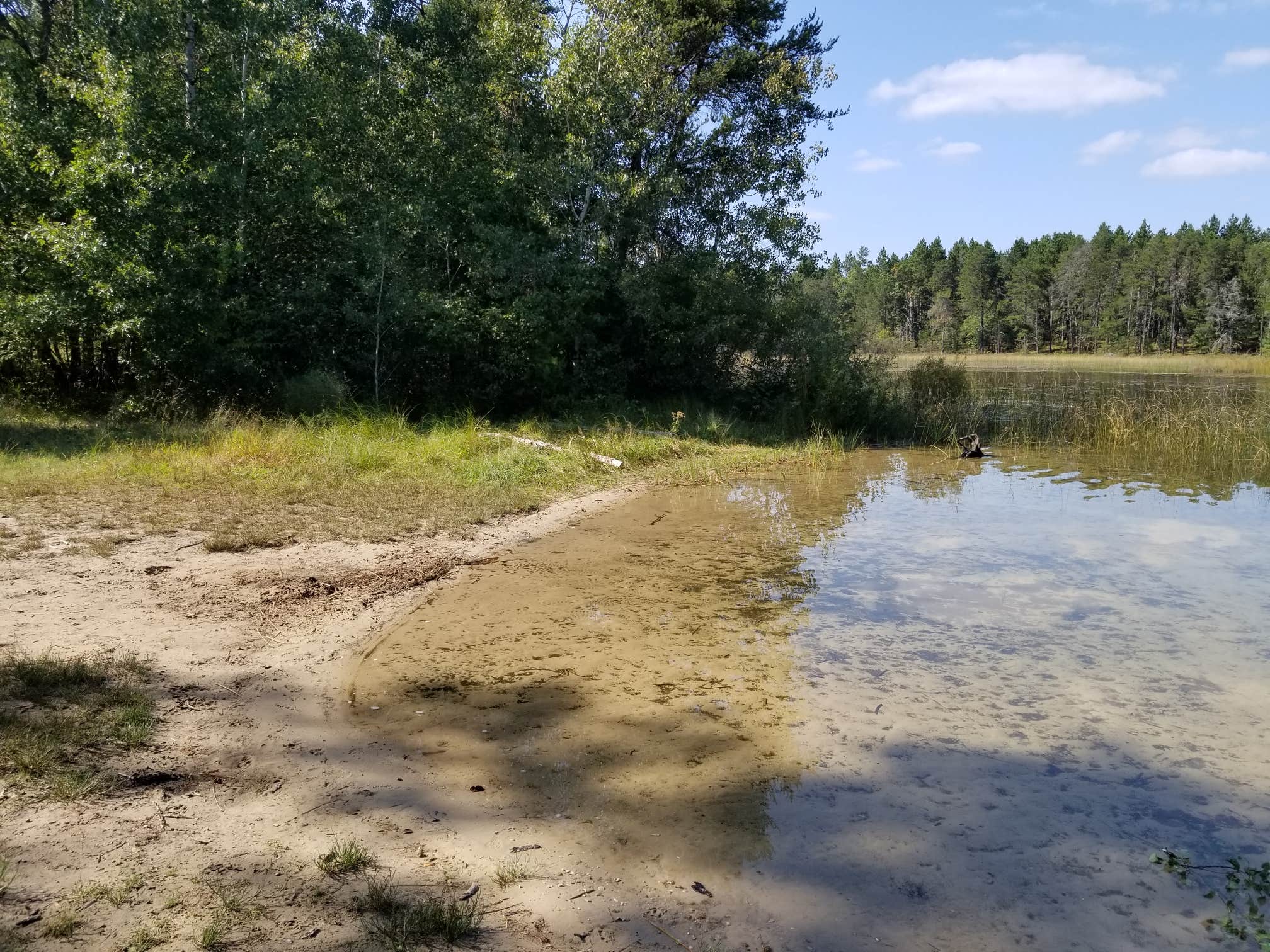 Camper submitted image from Muskrat Lake State Forest Campground - 5