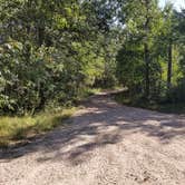 Review photo of Muskrat Lake State Forest Campground by Mike B., September 21, 2018