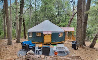 The Dyrt's photo at Baileys on Palomar near Aguanga, CA