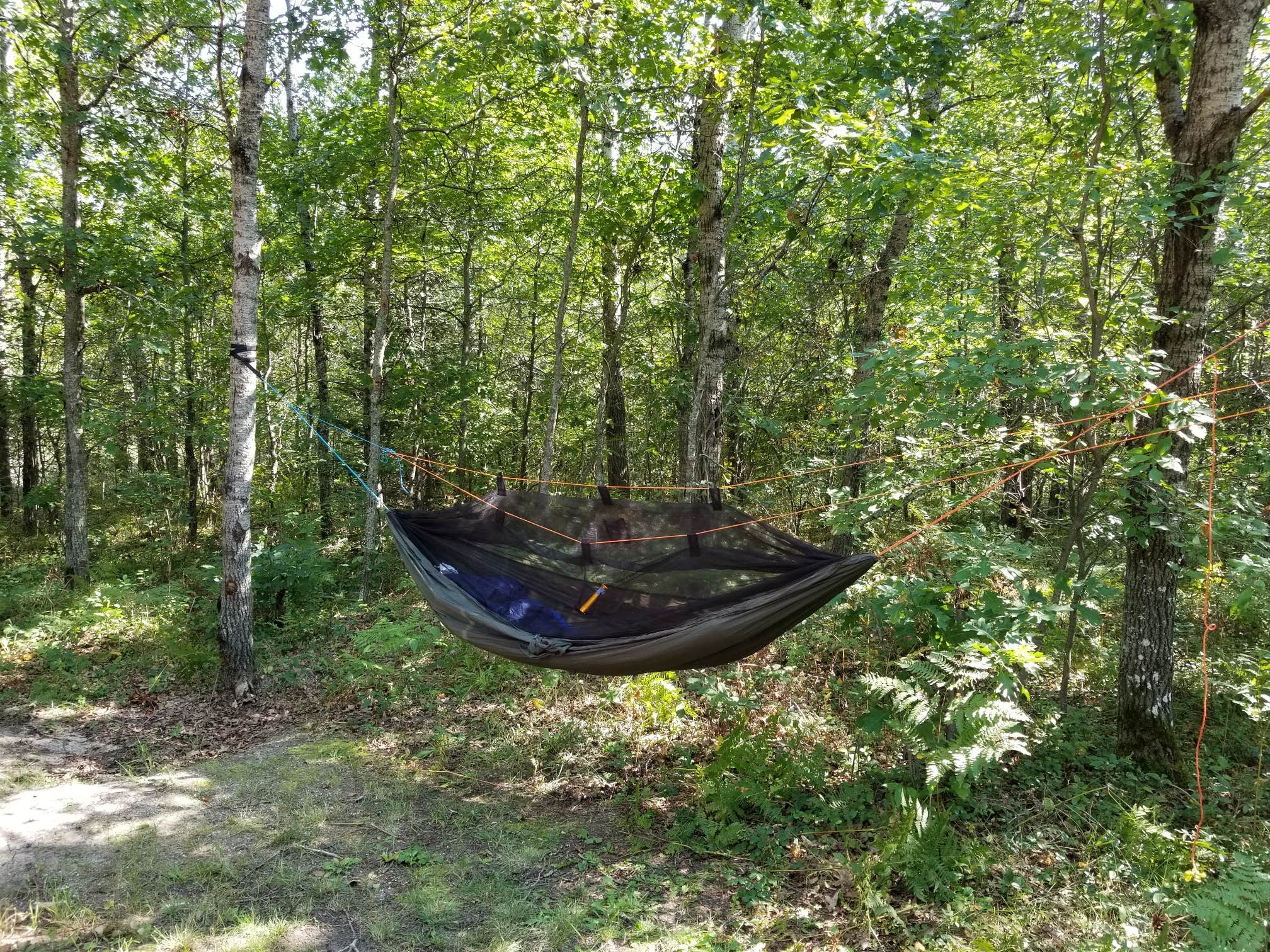 Camper-submitted photo at Muskrat Lake State Forest Campground near Mio, MI
