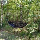 Review photo of Muskrat Lake State Forest Campground by Mike B., September 21, 2018