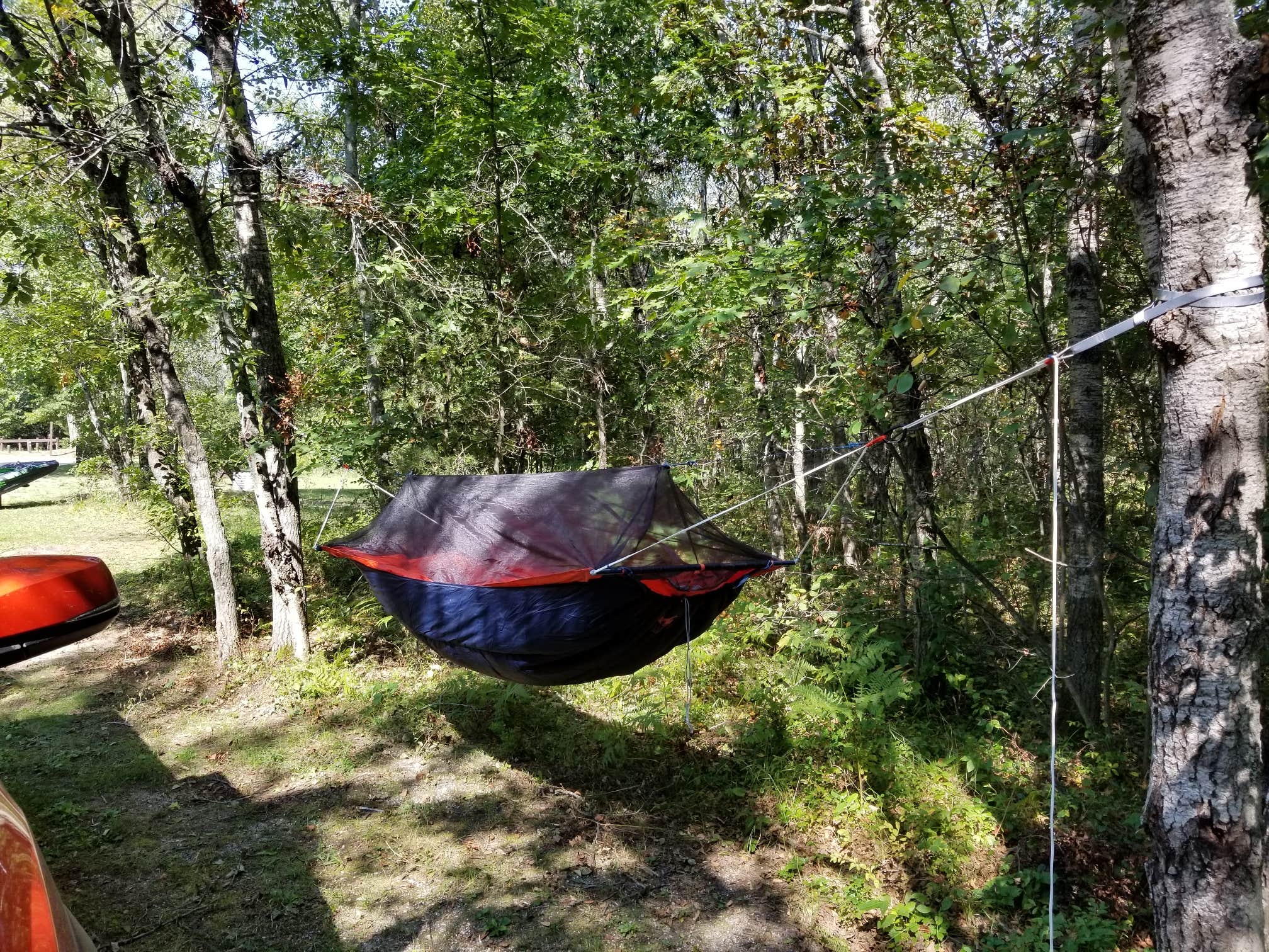 Camper-submitted photo at Muskrat Lake State Forest Campground near Mio, MI