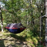 Review photo of Muskrat Lake State Forest Campground by Mike B., September 21, 2018