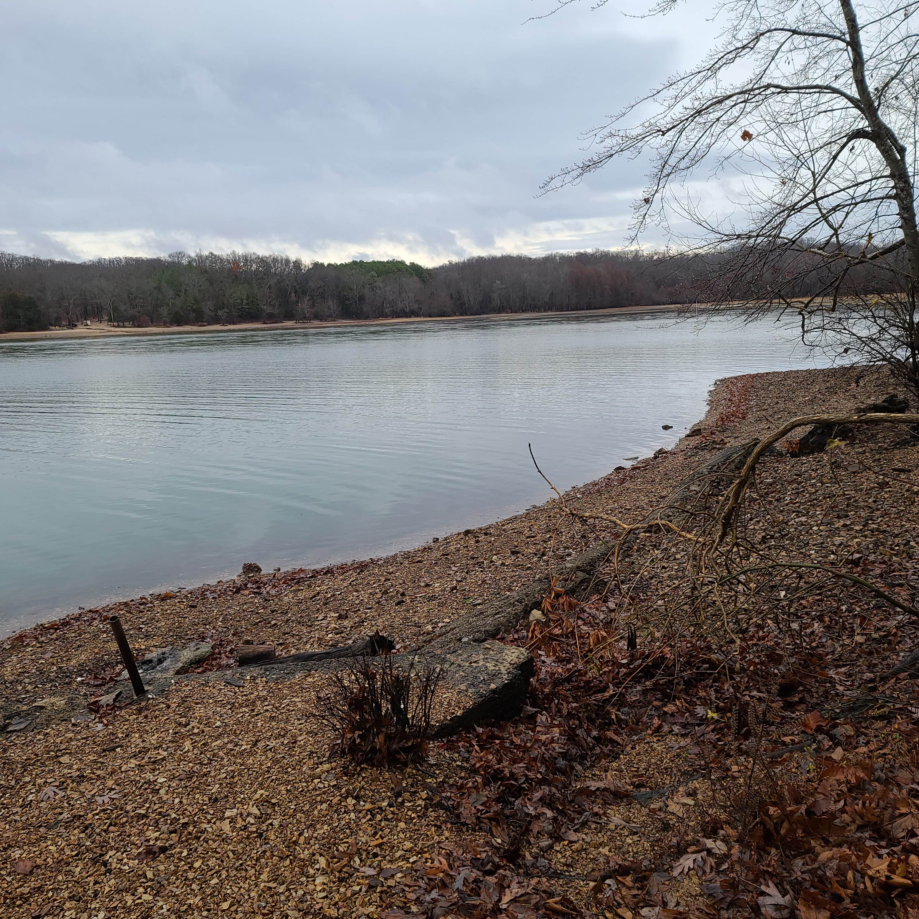 Karen's photo of a dispersed camping area at Forest Service Rd 343 near Oak Grove, KY