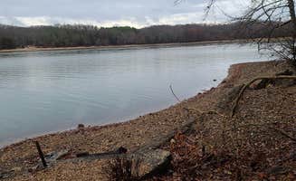 Karen's photo of a dispersed camping area at Forest Service Rd 343 near Grand Rivers, KY