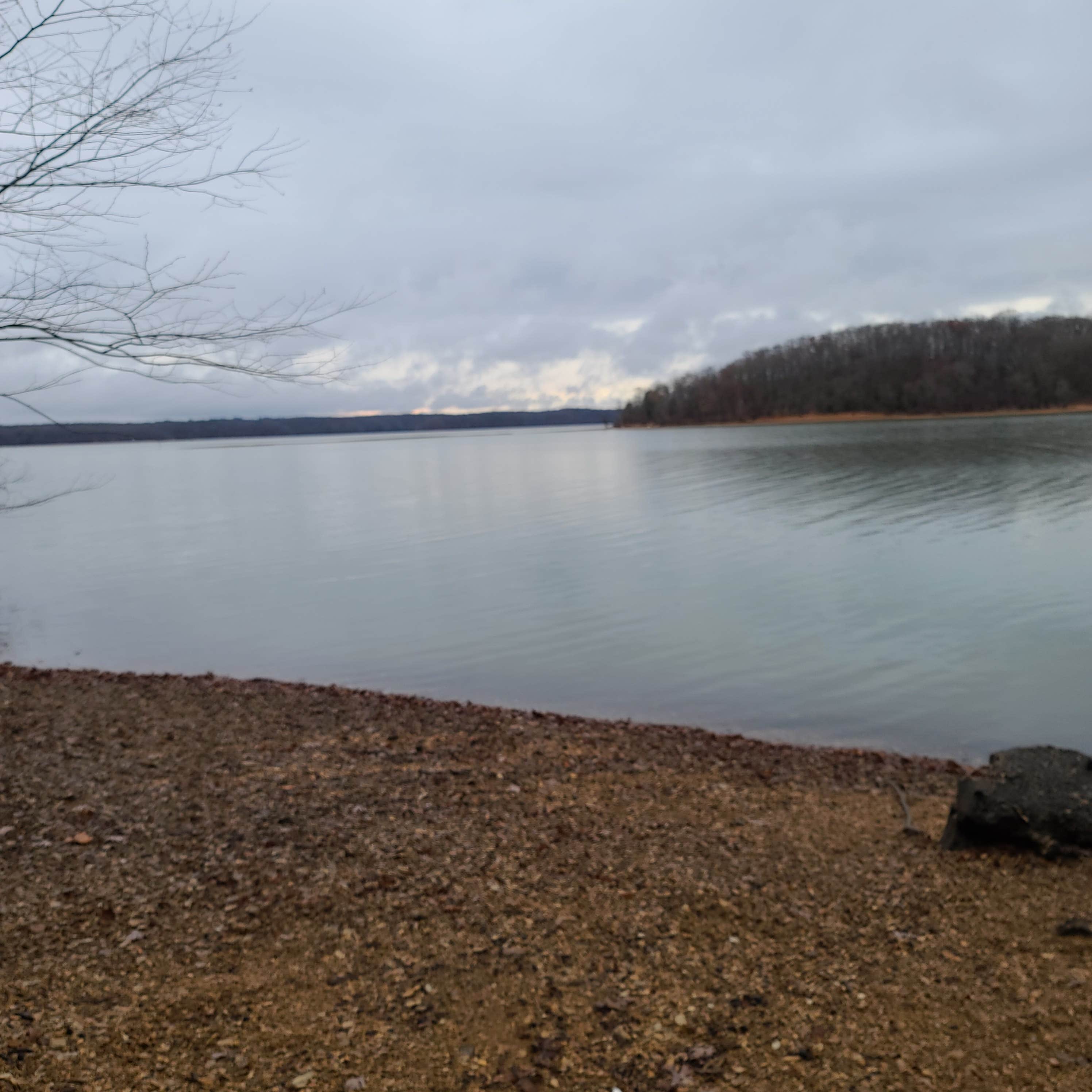 Camper-submitted photo at Forest Service Rd 343 near Oak Grove, KY