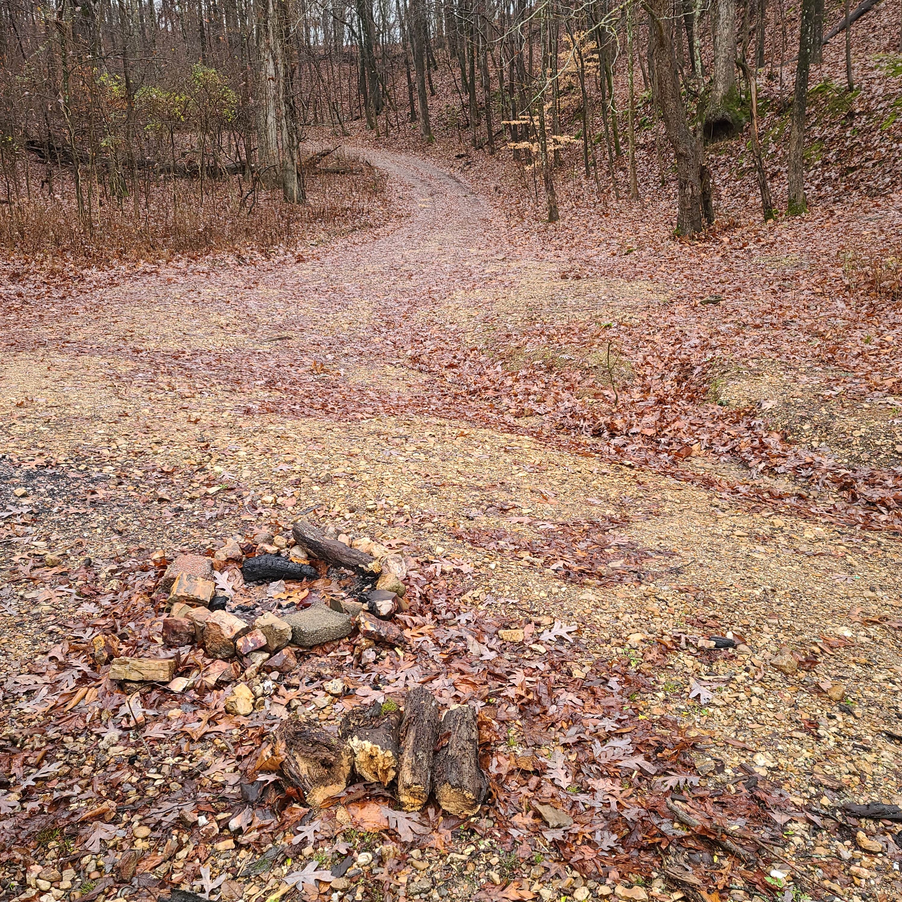 Camper-submitted photo at Forest Service Rd 343 near Oak Grove, KY