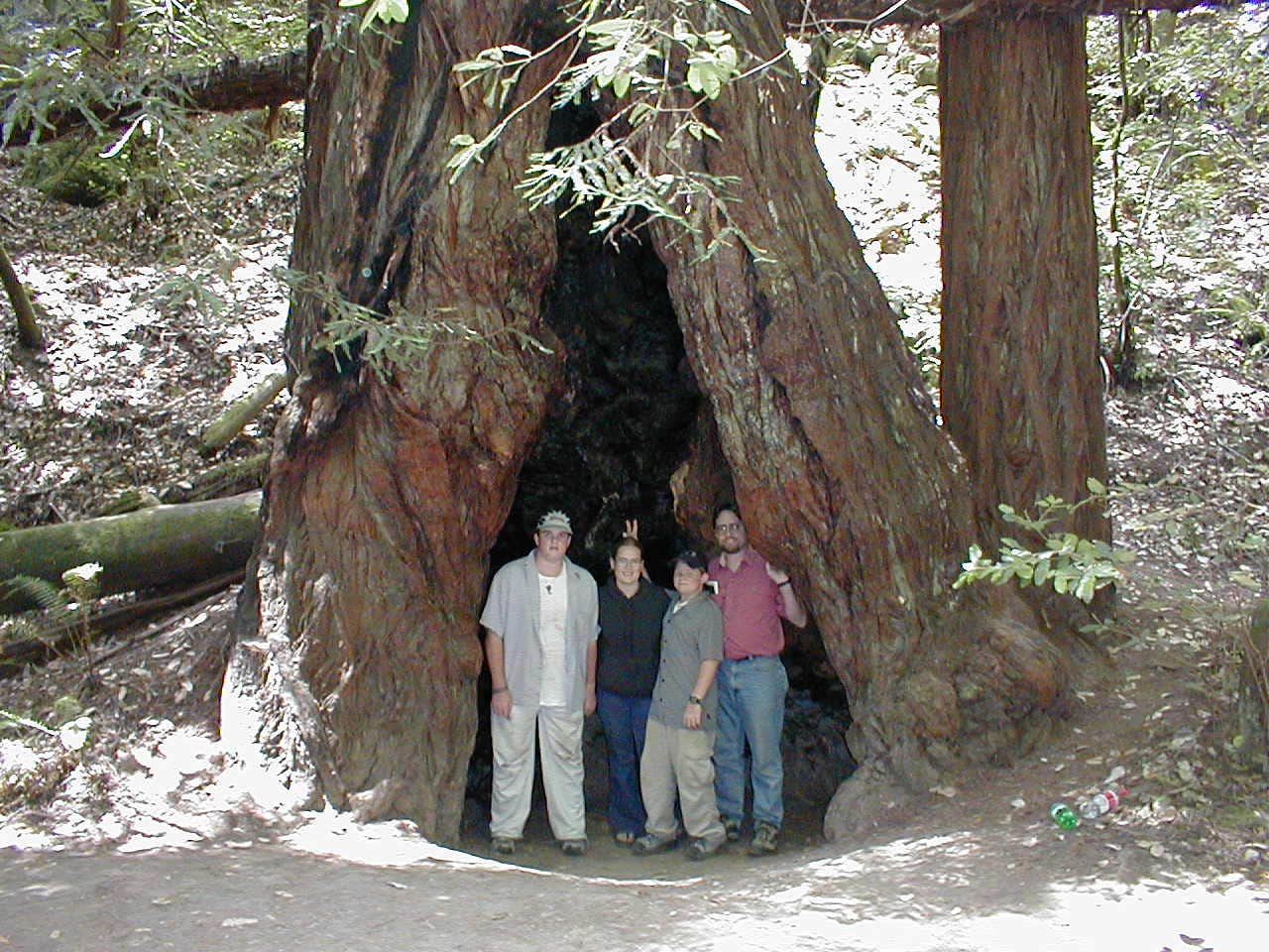 Camper-submitted photo at Bridalveil Creek Campground — Yosemite National Park near Yosemite National Park