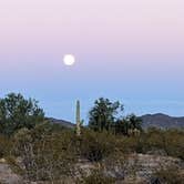 Review photo of Gunsight Wash BLM Dispersed camping atea by Greg L., December 26, 2020