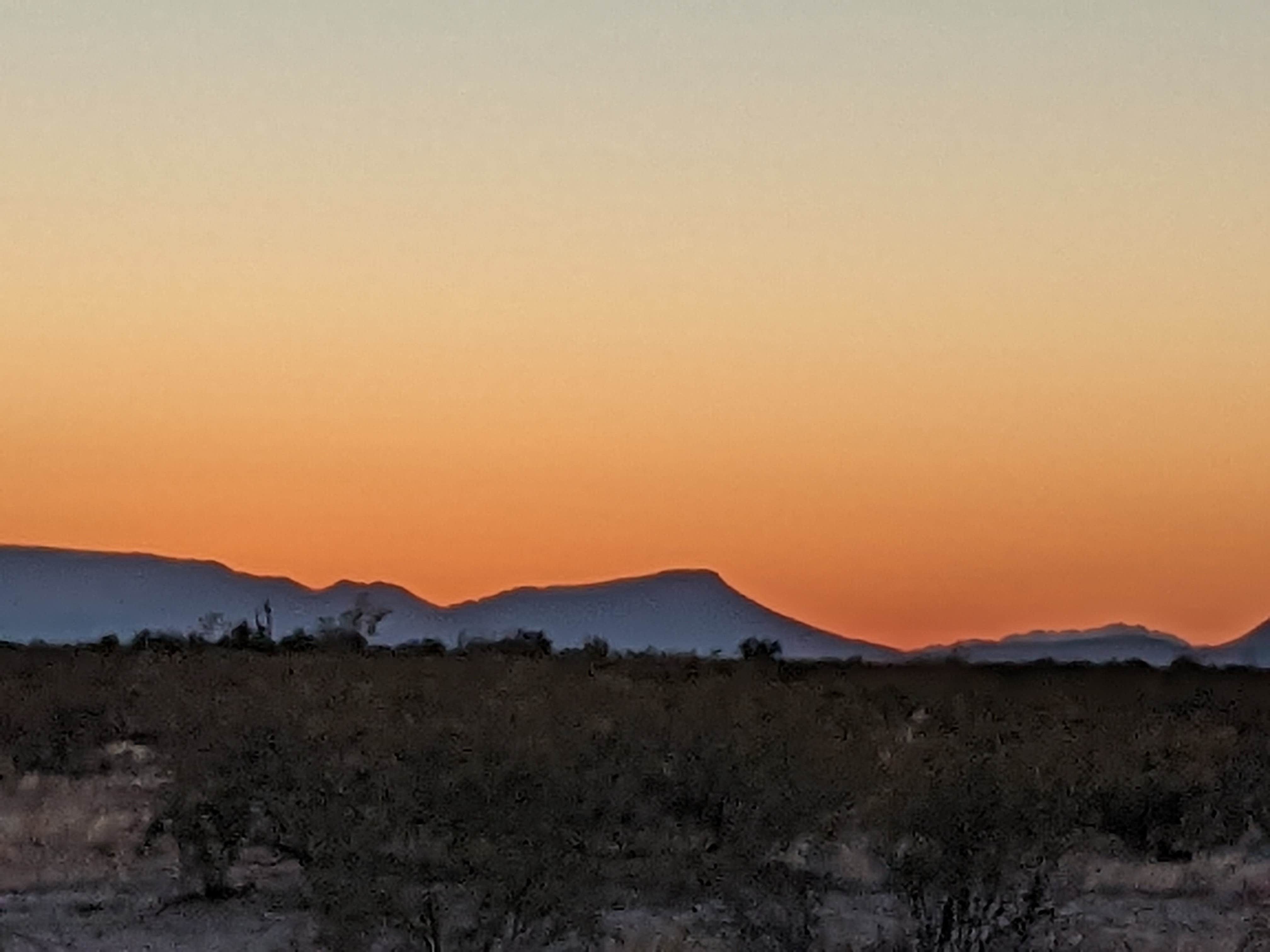 Greg L.'s photo of a dispersed camping area at Gunsight Wash BLM Dispersed camping area near Ajo, AZ