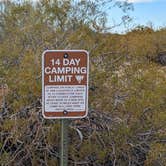 Review photo of Gunsight Wash BLM Dispersed camping atea by Greg L., December 26, 2020