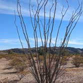 Review photo of Gunsight Wash BLM Dispersed camping atea by Greg L., December 26, 2020