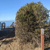 Review photo of South Carlsbad State Beach Campground by Laura M., December 11, 2022
