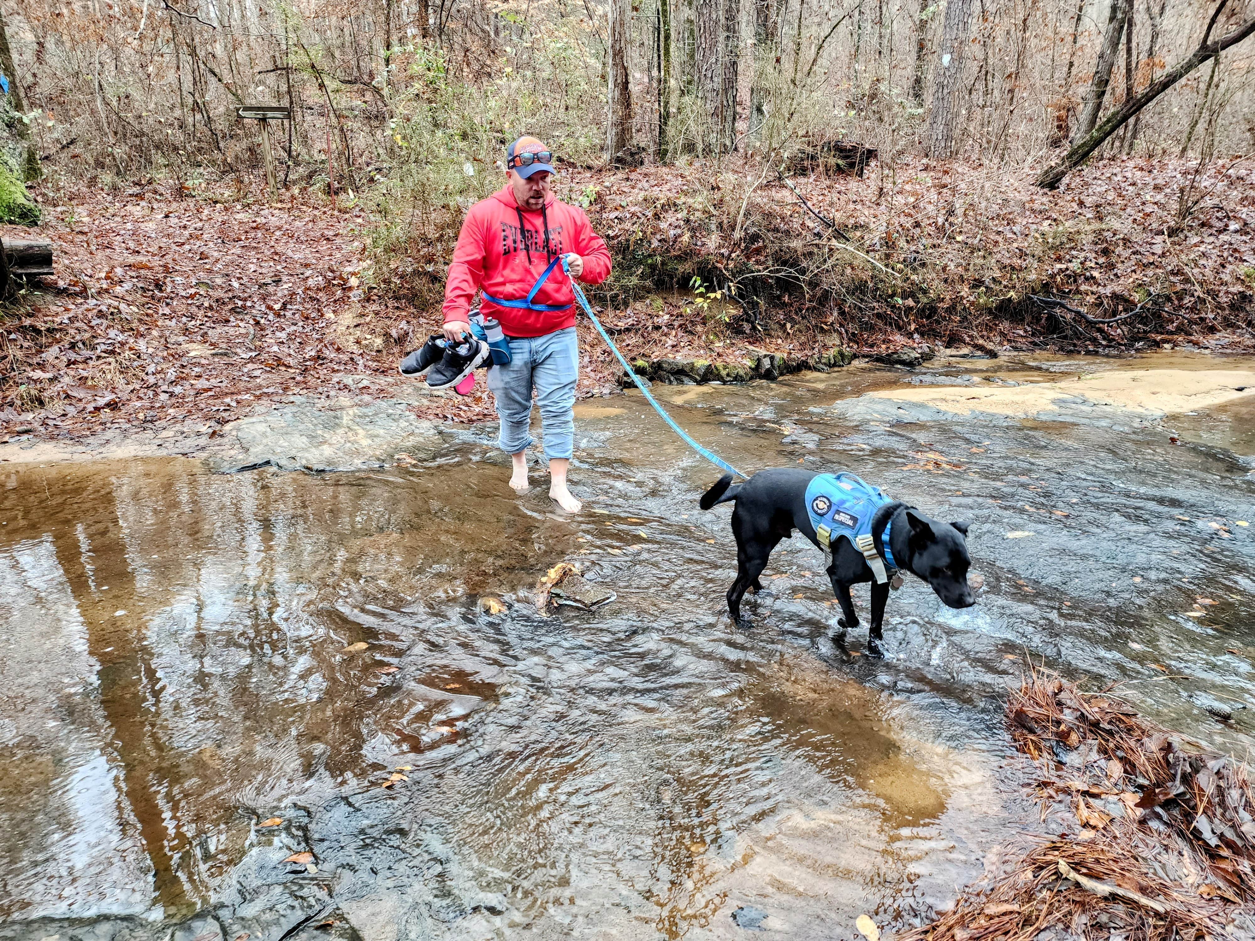 Sarah P.'s photo of camping with pets at Mistletoe State Park Campground near Edgefield, SC