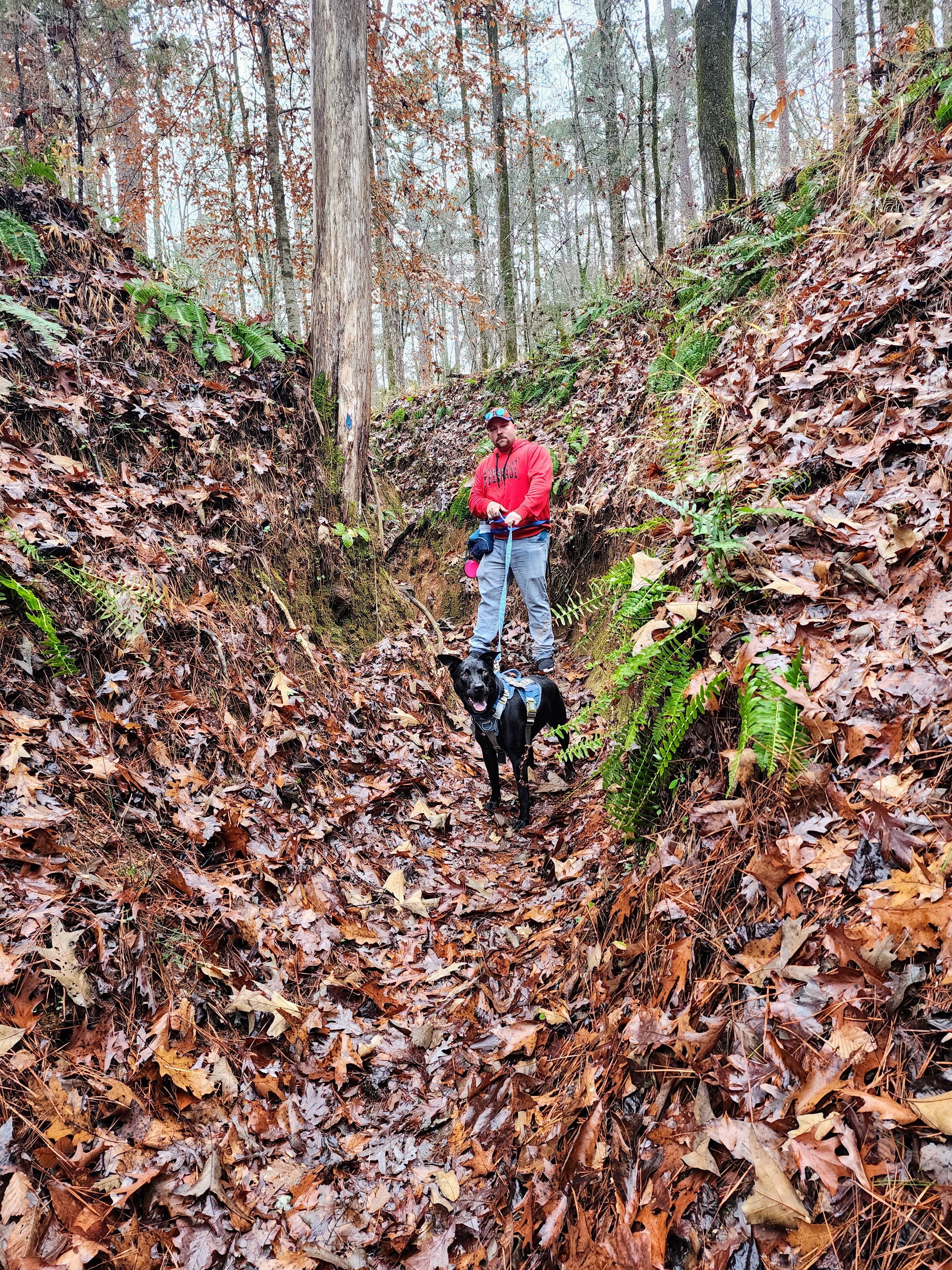 Sarah P.'s photo of camping with pets at Mistletoe State Park Campground near Aiken, SC