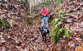 Sarah P.'s photo of camping with pets at Mistletoe State Park Campground near Aiken, SC