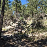 Review photo of Spencer Canyon Campground by Mason , December 11, 2022