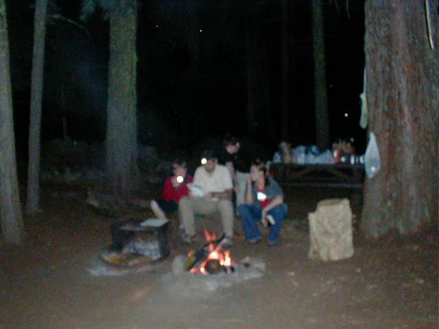 Elliott B.'s photo at Bridalveil Creek Campground — Yosemite National Park near Wawona, CA
