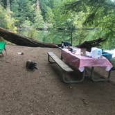 Review photo of Southend Campground — Moran State Park by Sarah S., September 21, 2018