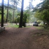 Review photo of Southend Campground — Moran State Park by Sarah S., September 21, 2018