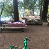 Review photo of Southend Campground — Moran State Park by Sarah S., September 21, 2018