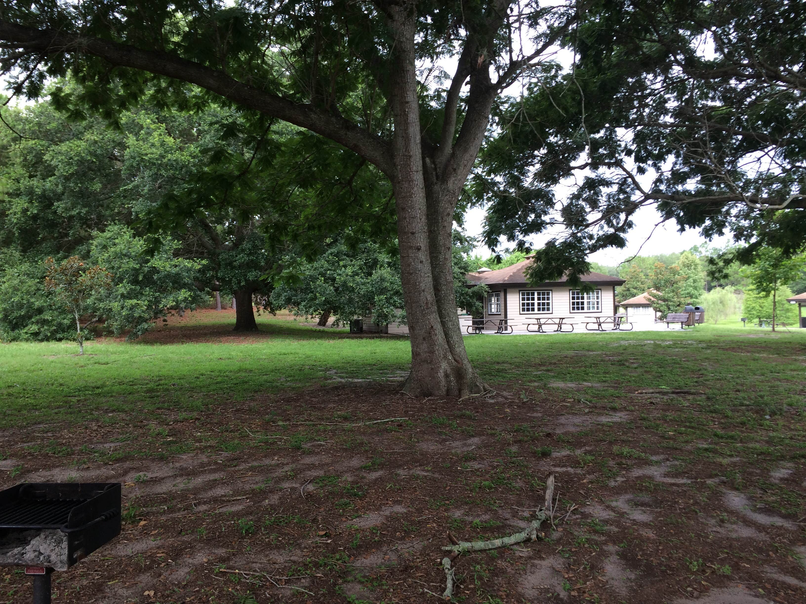 Camper-submitted photo at Bill Frederick Park at Turkey Lake near Windermere, FL