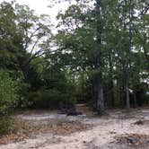 Review photo of Lake Tawakoni State Park Campground by Robert P., September 21, 2018