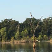 Review photo of Lake Tawakoni State Park Campground by Robert P., September 21, 2018