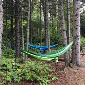 Review photo of Judge C. R. Magney State Park Campground by Steph H., September 21, 2018