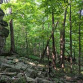 Review photo of High Cliff State Park Campground by Jon H., September 21, 2018