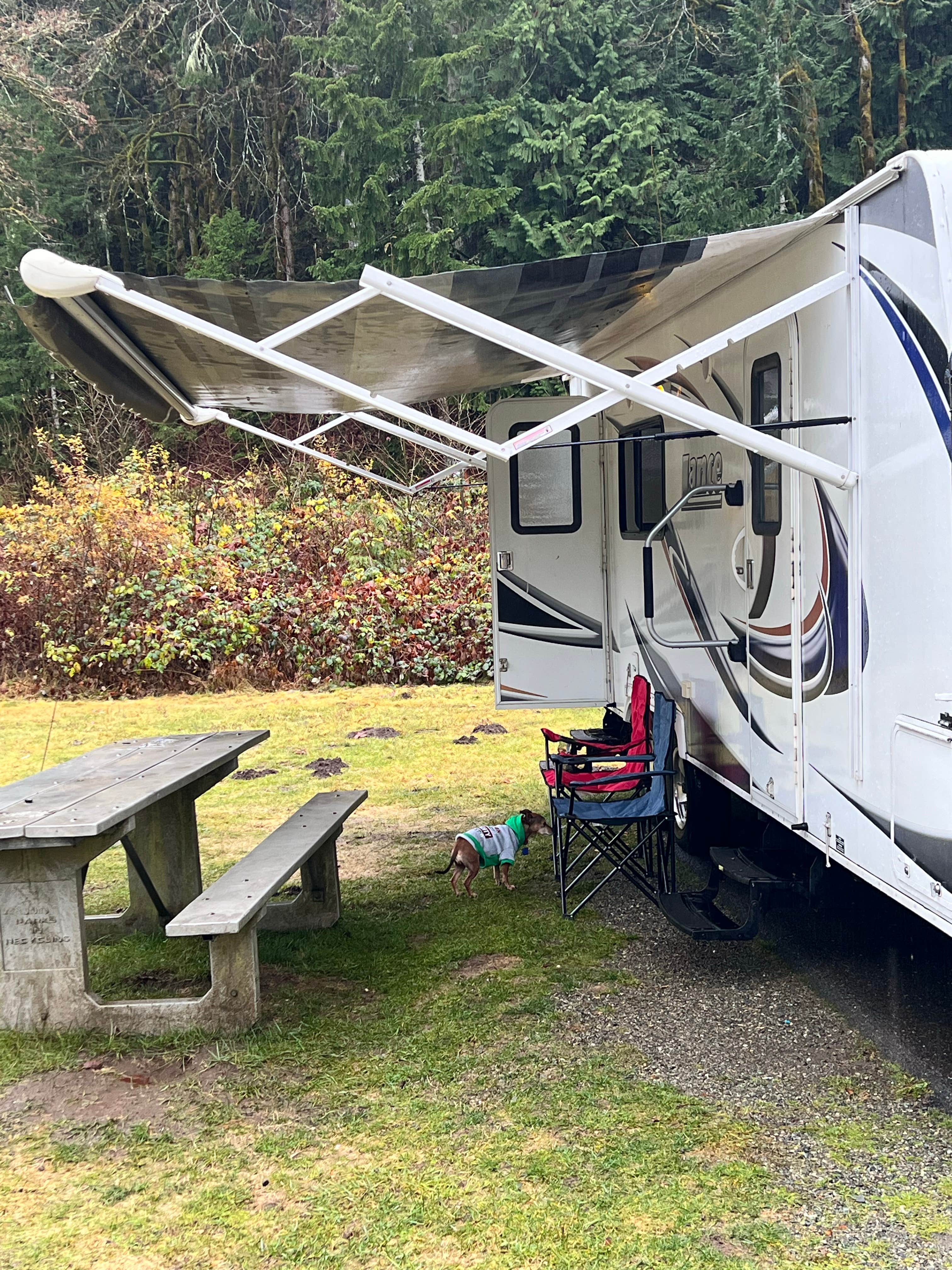 Taryn L.'s photo of camping with pets at Dosewallips State Park Campground near Port Orchard, WA