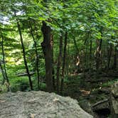 Review photo of High Cliff State Park Campground by Jon H., September 21, 2018