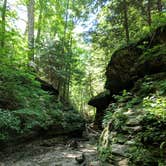 Review photo of Turkey Run State Park Campground — Turkey Run State Park by Jon H., September 21, 2018
