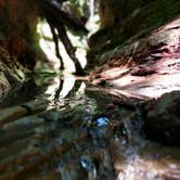 Review photo of Turkey Run State Park Campground — Turkey Run State Park by Jon H., September 21, 2018