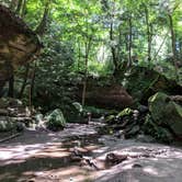 Review photo of Turkey Run State Park Campground — Turkey Run State Park by Jon H., September 21, 2018