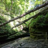 Review photo of Turkey Run State Park Campground — Turkey Run State Park by Jon H., September 21, 2018