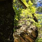 Review photo of Turkey Run State Park Campground — Turkey Run State Park by Jon H., September 21, 2018